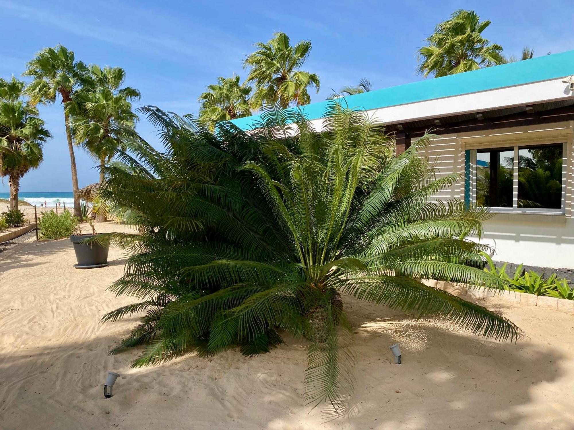 Vila Mare - Praia De Chaves Frontline Rabil Exterior photo